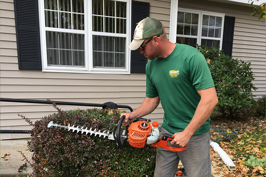 Hedge and shrub trimming