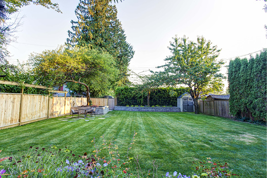 Spring cleanup in progress