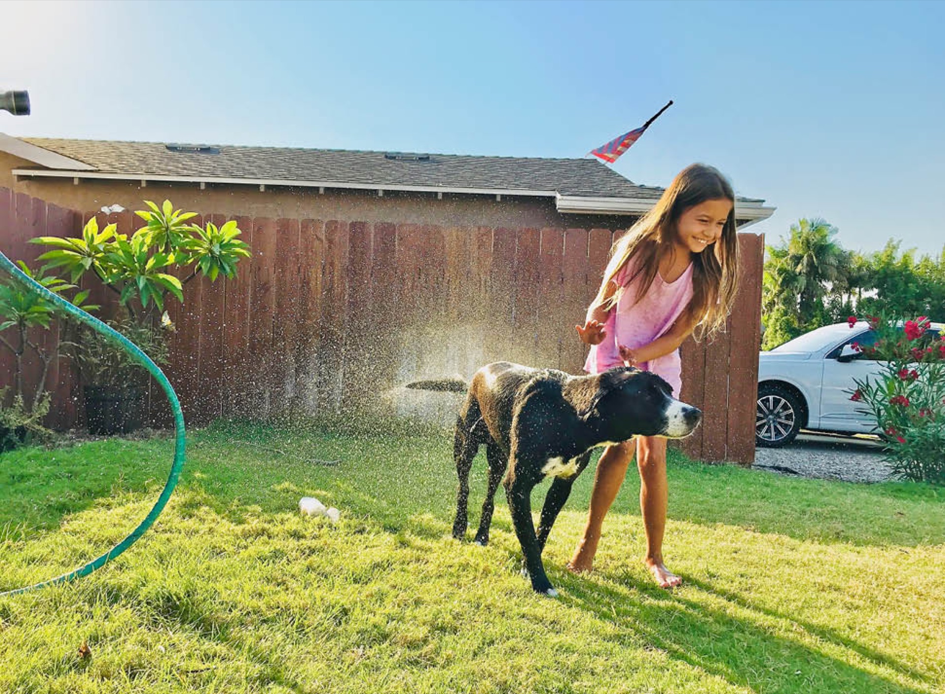 Eco-conscious tick control in wooded property edge