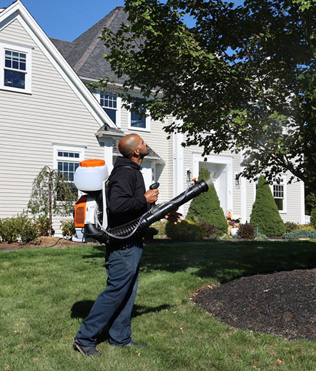 BML technician applying mosquito and tick barrier treatment to a residential property in Western Massachusetts