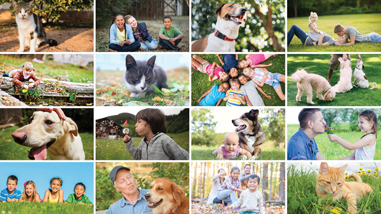 Kids playing in yard after mosquito treatment has dried